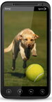 Servis HTC Evo 3D Oprava HTC Evo 3D