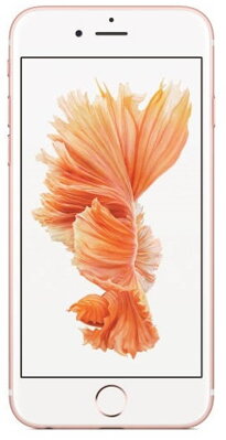 Oprava Apple iPhone 6S