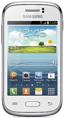 Samsung Galaxy Young S6310 Samsung Galaxy Young S6310